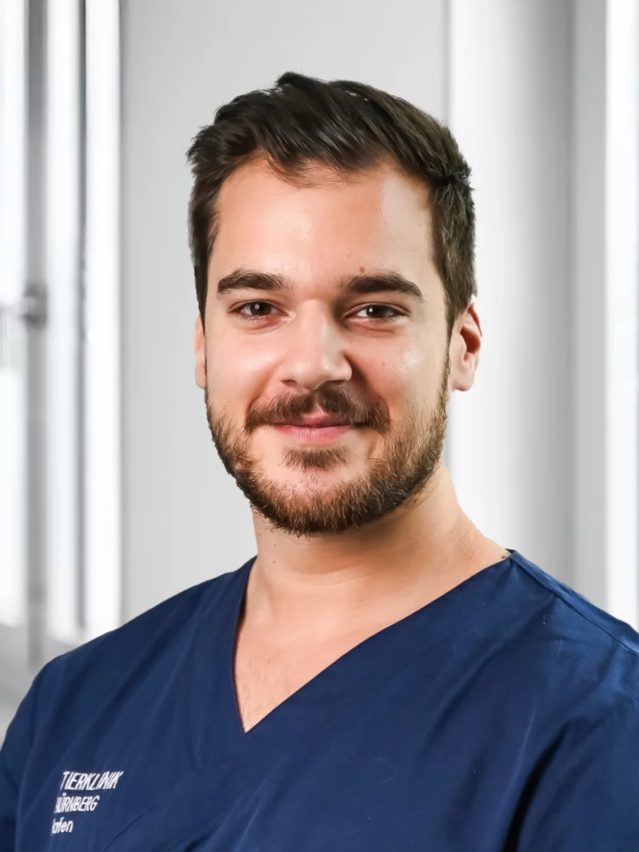 Dominik Mischustov